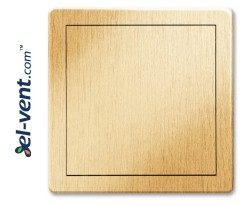 Access panels Plastic-GOLD